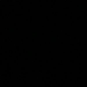 Meet your Posher, Seghan